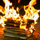 Illustration for article titled White College Kids Get So Burned Up by a Latinx Author’s Discussion of White Privilege, They Burn Her Book